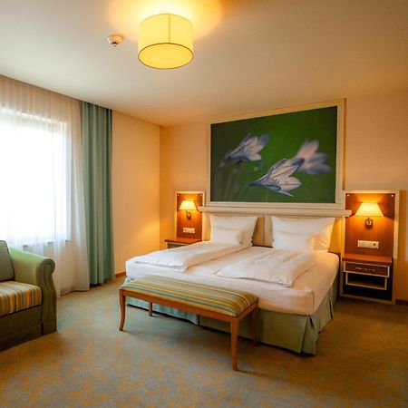 Hotel Sonnenhof Сучава Экстерьер фото