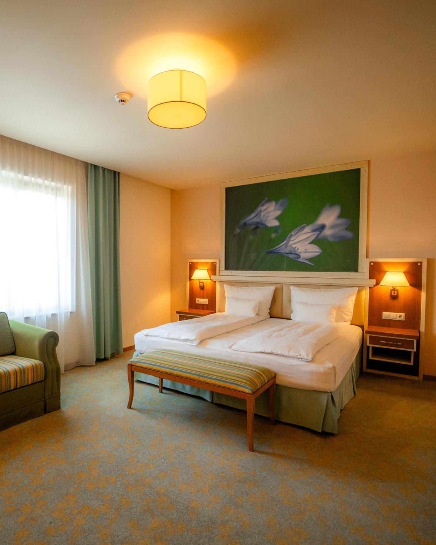Hotel Sonnenhof Сучава Экстерьер фото